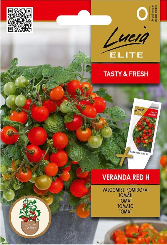 Pomidor Veranda Red H bardzo plenna odmiana do uprawy w pojemnikach nasiona 10 szt. Lucia Elite sklep rajogrodnika